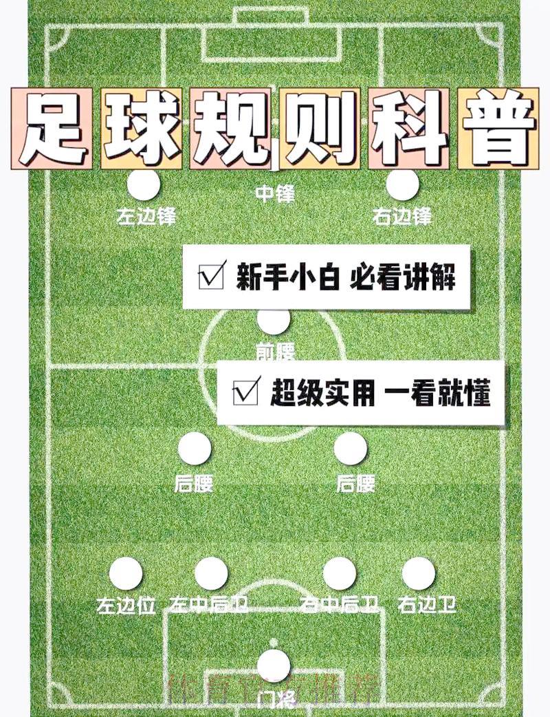 世界杯滚球分析入口地址全方位深度解读
